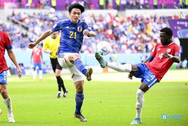 奇色彩的名 奇色彩的名